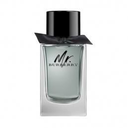 Burberry Mr. Burberry Eau de Toilette 100ml Spray