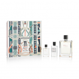 Hermes Terre D'Hermes Eau de Toilette 100ml Spray Gift Set