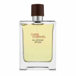 Hermes Terre D'Hermes Eau Intense Vetiver Eau de Parfum 100ml Spray