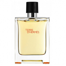 Hermes Terre D'Hermes Eau de Toilette 100ml Spray